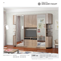 Шкаф-купе Киноман 2400 Шкаф-купе Киноман 2400