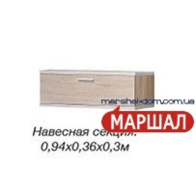 Нео Навесная секция от Скай (м. Київ)