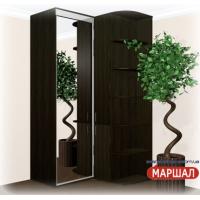 Угловой шкаф-купе+П4/2400 ((900-1300) х 2400 х 600)