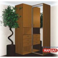 Угловой шкаф-купе+П3/2100 ((800-1300) х 2100 х 600)